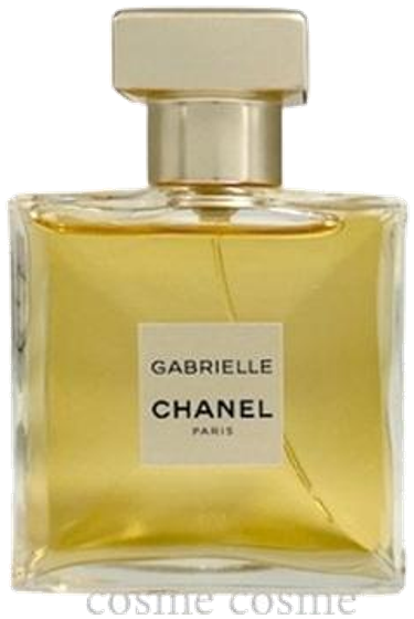 CHANEL ガブリエル